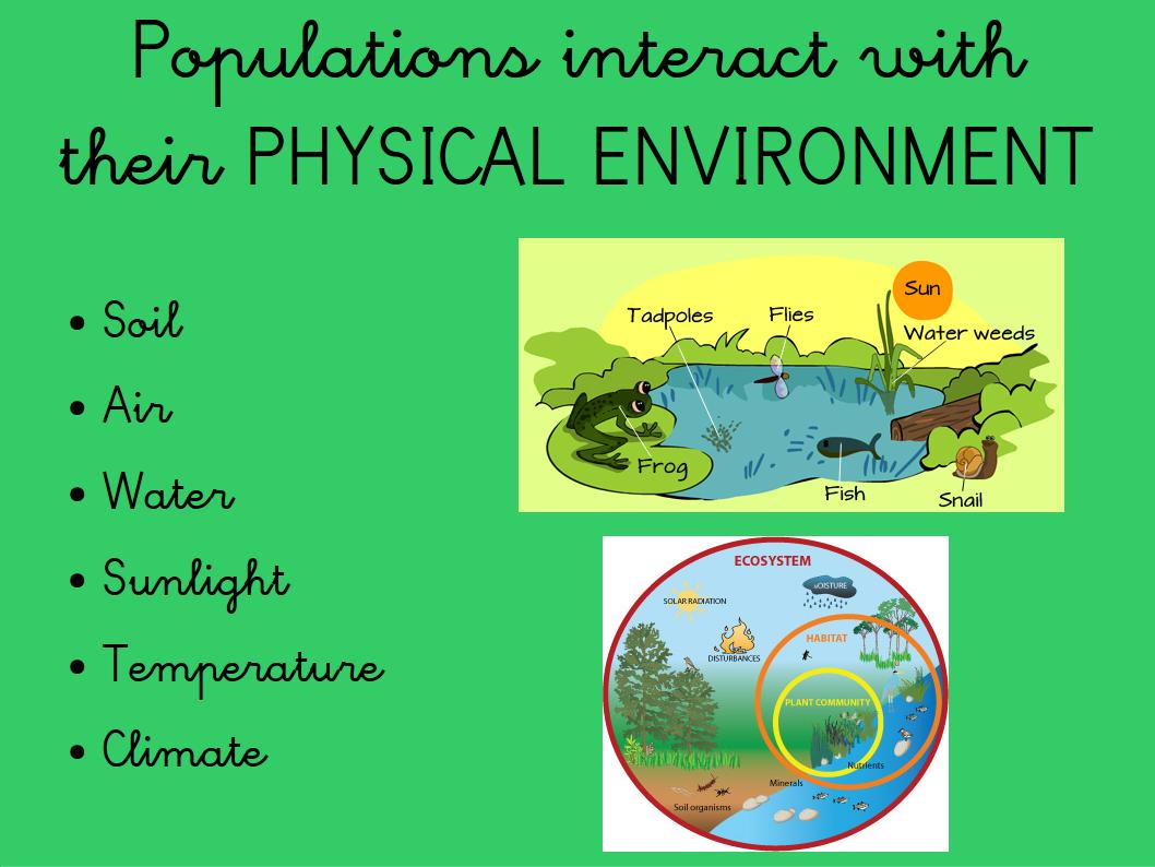 MilaEnglish Blog EcOsYsTeMs PowerPoint
