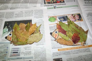 Manualidad infantil erizo hecho con hojas