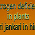  nitrogen deficiency in plants - पौधे में नाइट्रोजन की कमी पूरी जानकारी हिंदी