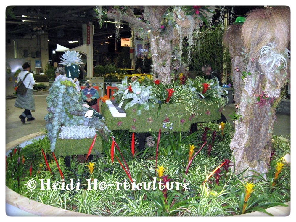 Heidi Horticulture Canada Blooms 2016 City of Toronto Indoor Plant