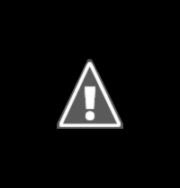 Miami Heat Standings  HD Wallpapers Plus