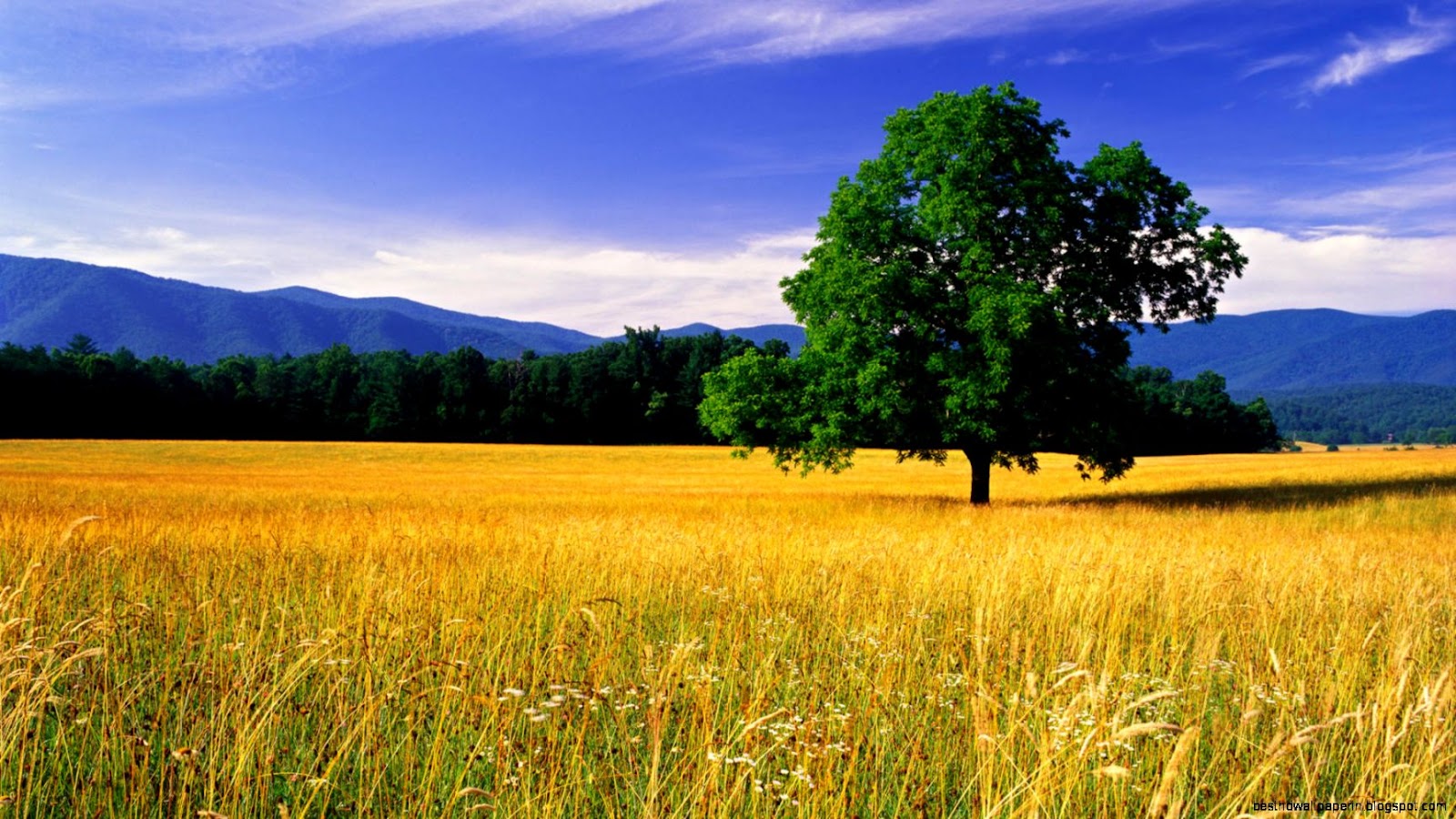 Desktop Nature Landscapes