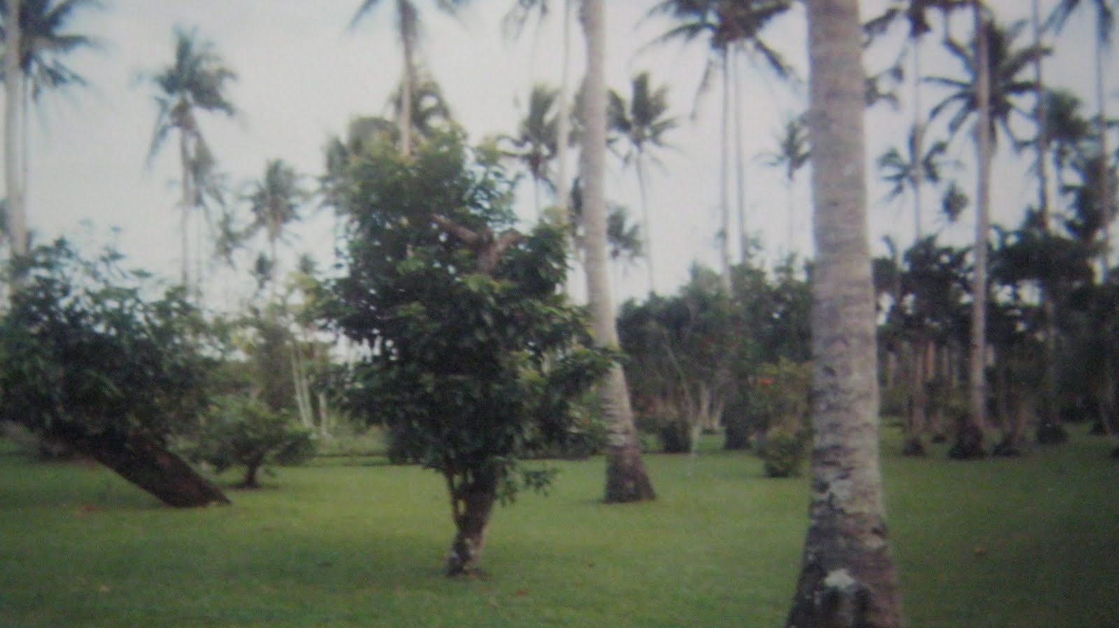 Hot Spots in Bicol Beach Resort for Sale