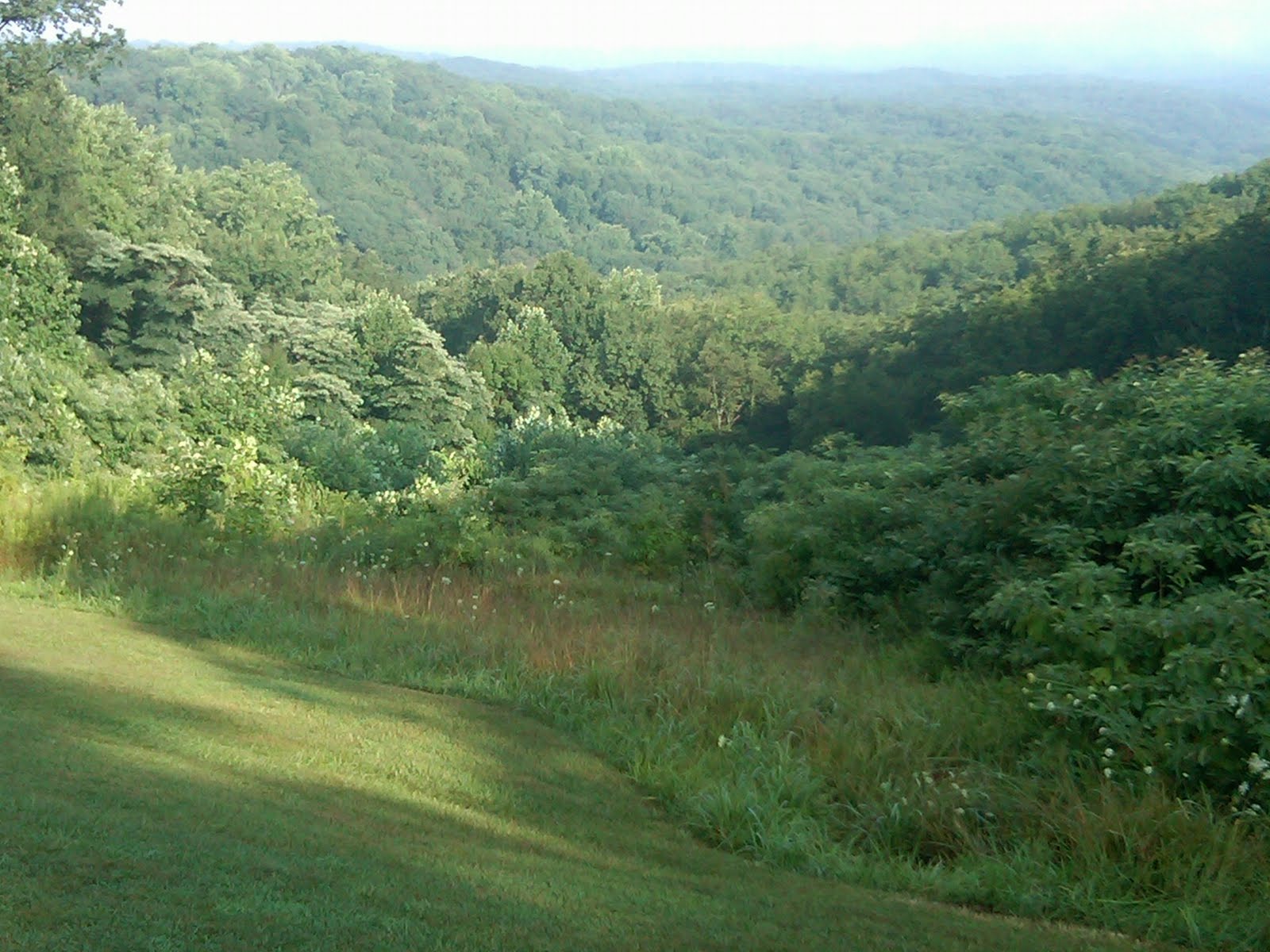 Who Wants To Ride Indiana Mountain Biking.....Fast and Fun