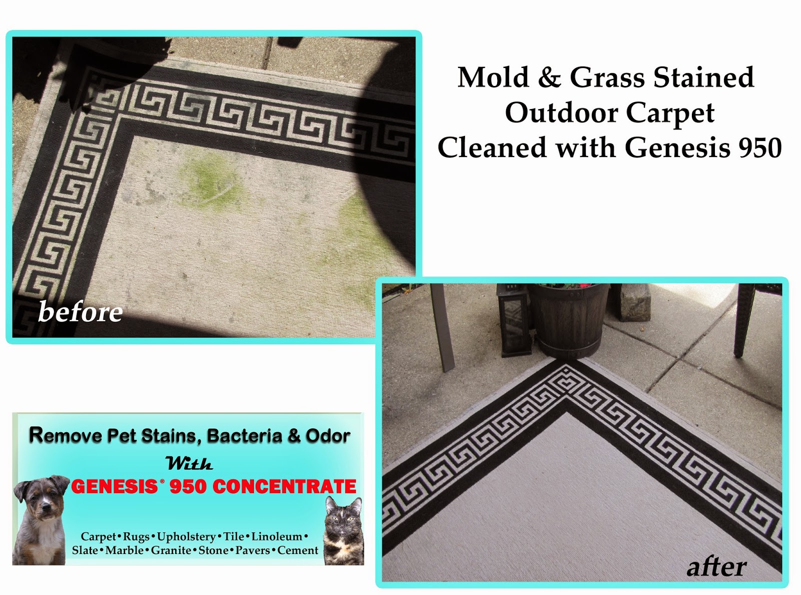 Remove Grass Stains From Carpet