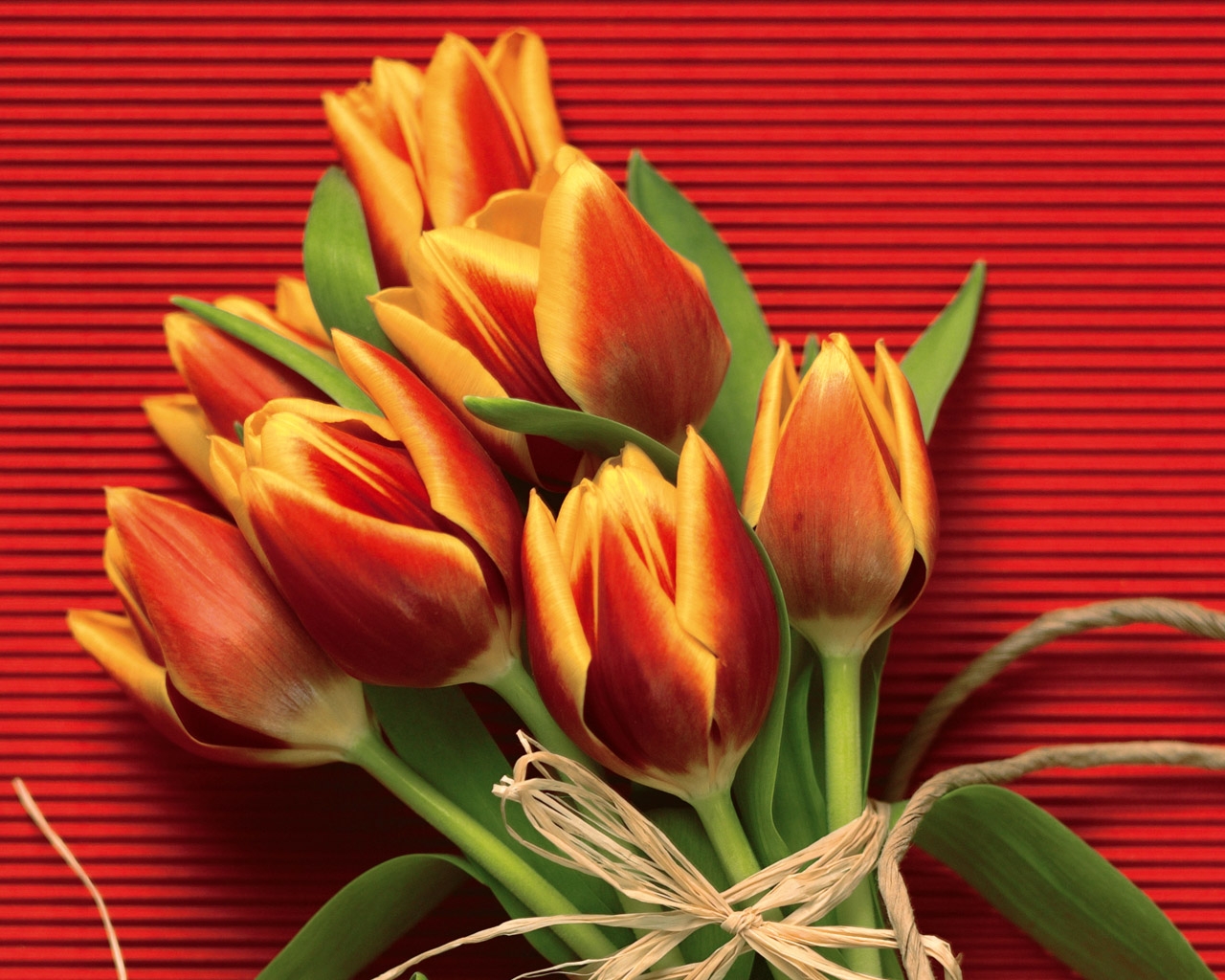 Banco de Imágenes Gratis: Arreglos florales, rosas, tulipanes, girasoles y  margaritas