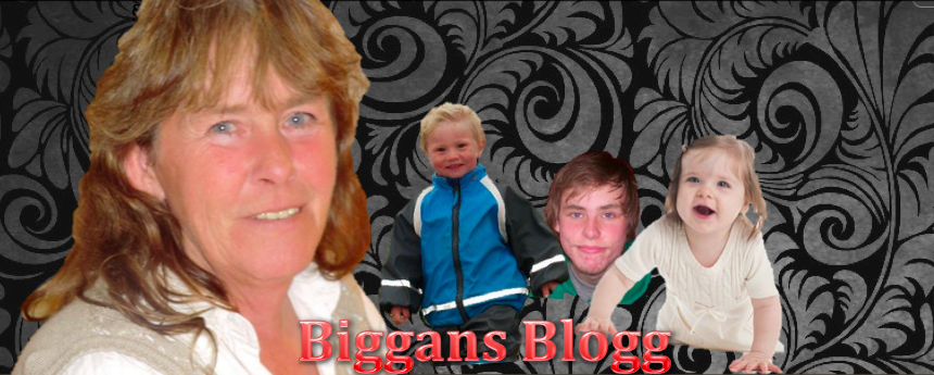 Biggans Blogg