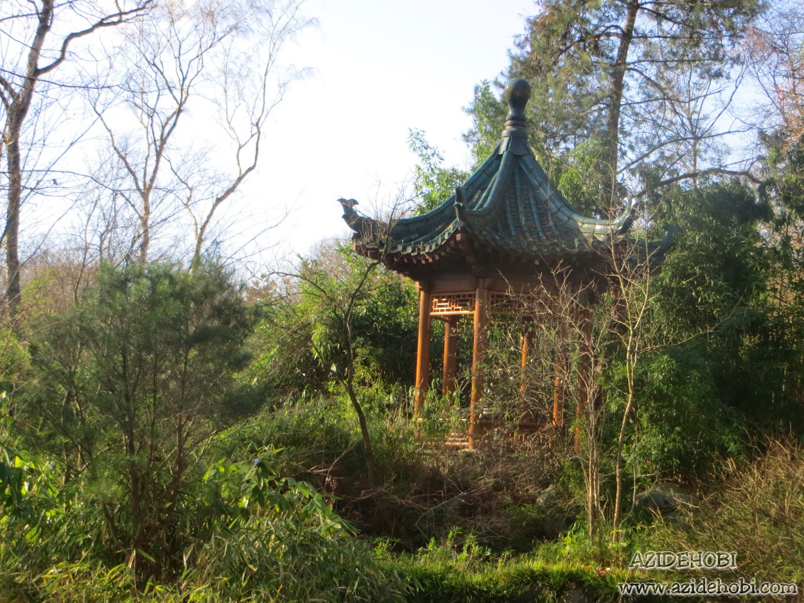 AZIDEHOBI : 01.02.14