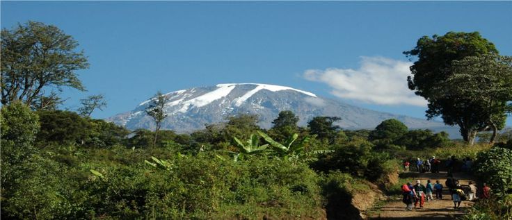 Image result for Kilimanjaro slopes