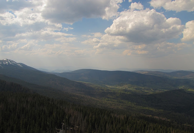 Widok z Sokolicy na masyw Mędralowej (1169 m n.p.m.).