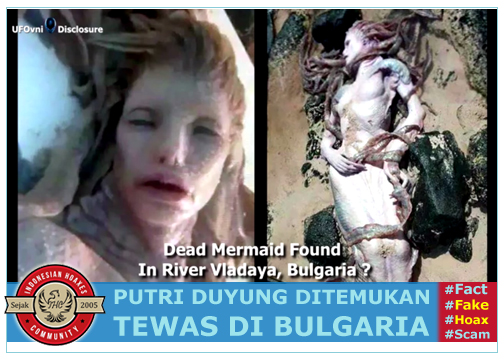 Penemuan Aneh Putri Duyung Terdampar! Indonesian Hoaxes Membongkar