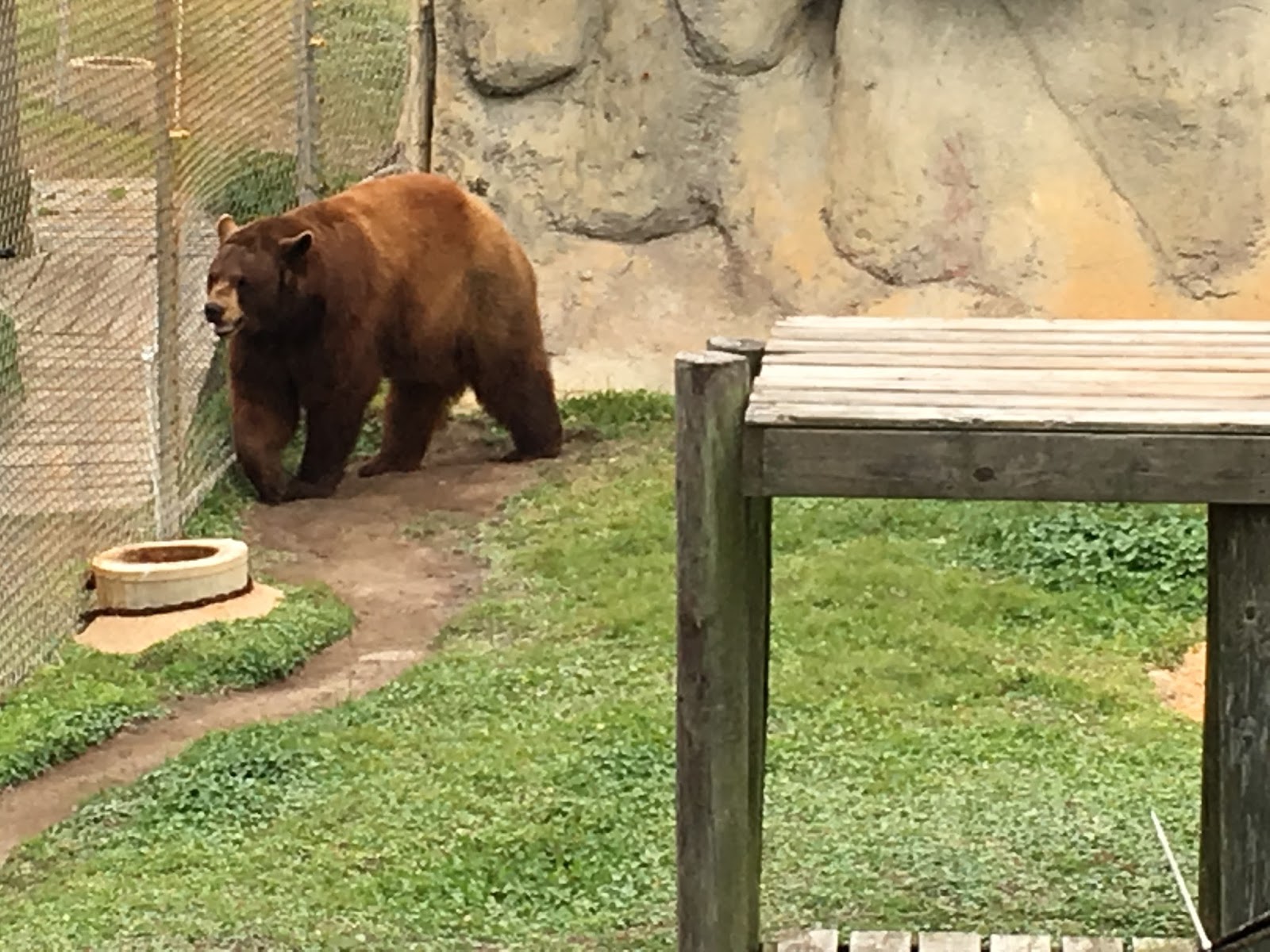 PATI AND LEROY'S TRAVELS ALABAMA GULF COAST ZOO