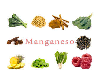 Manganeso Y Sus Funciones