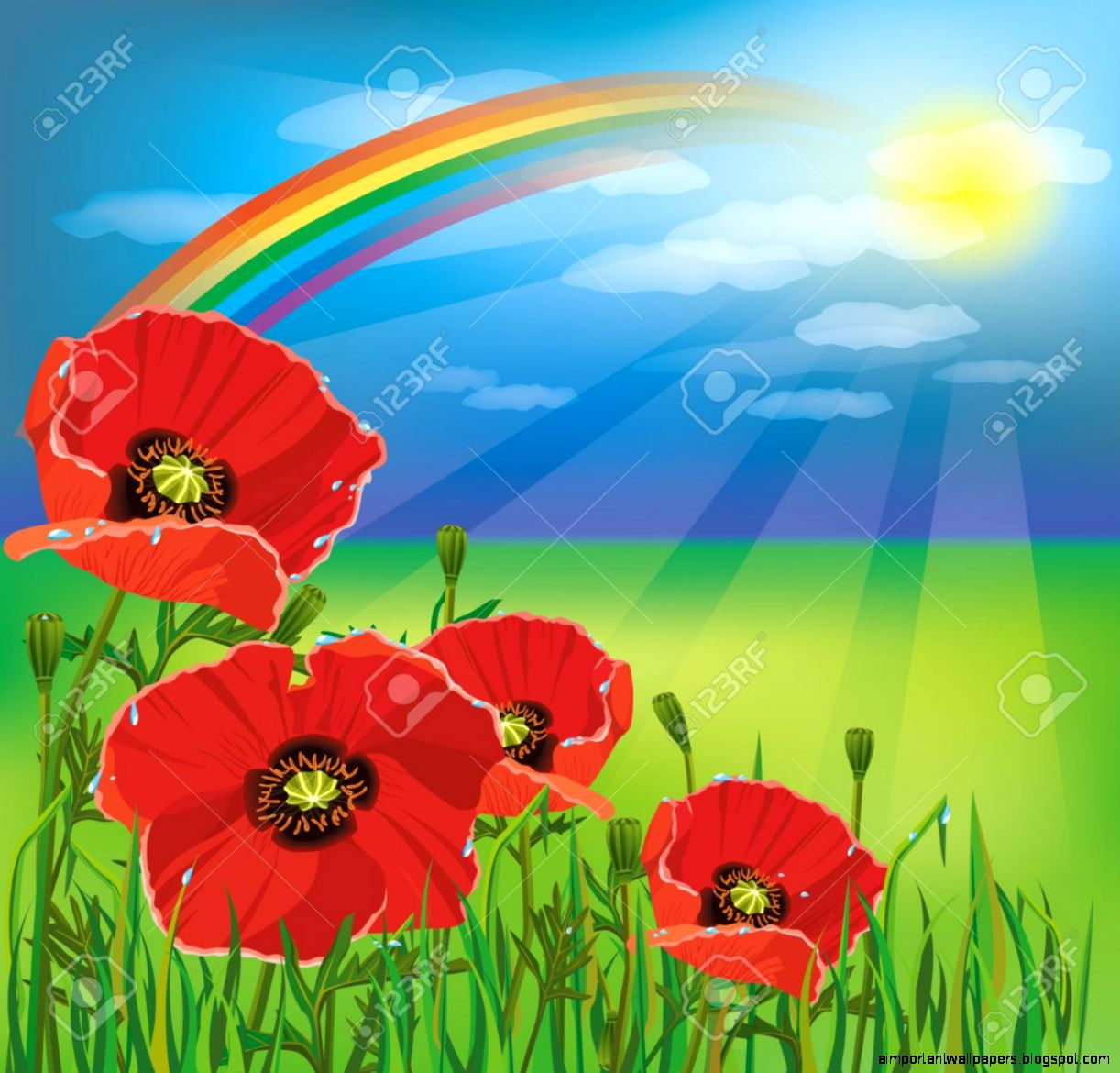 Nature Background Summer Landscape After Rain With Flower Red