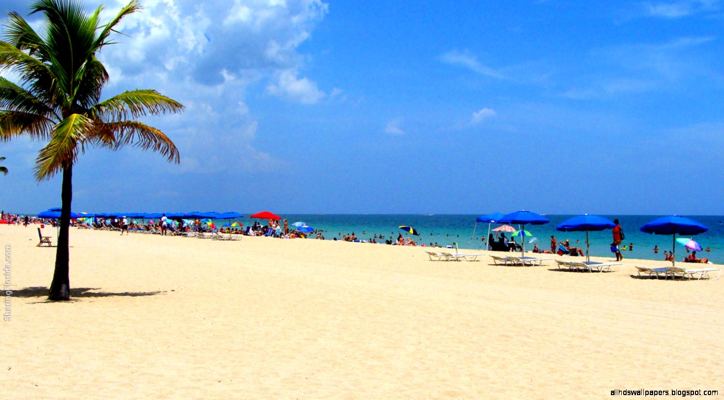 Florida Beaches Desktop Wallpaper