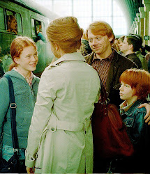 ron hermione weasley rose hugo harry potter granger children hogwarts romione headcanons kisah weasleys reducio engorgio cinta secuil serial dalam