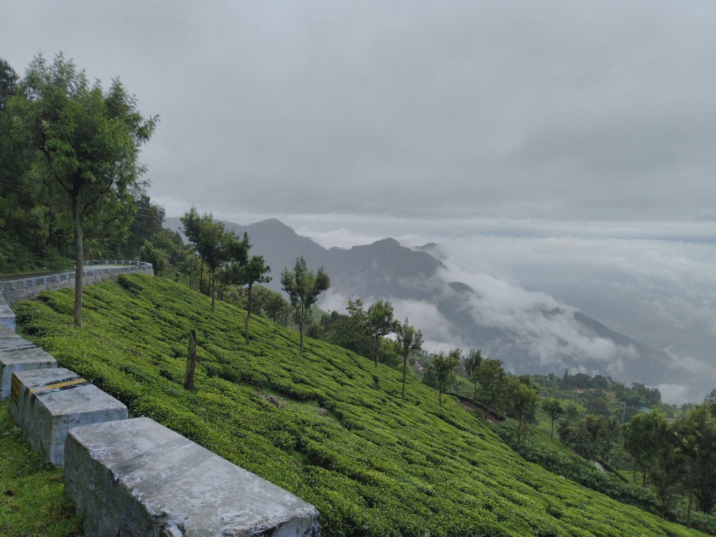 coonoor places to visit timing