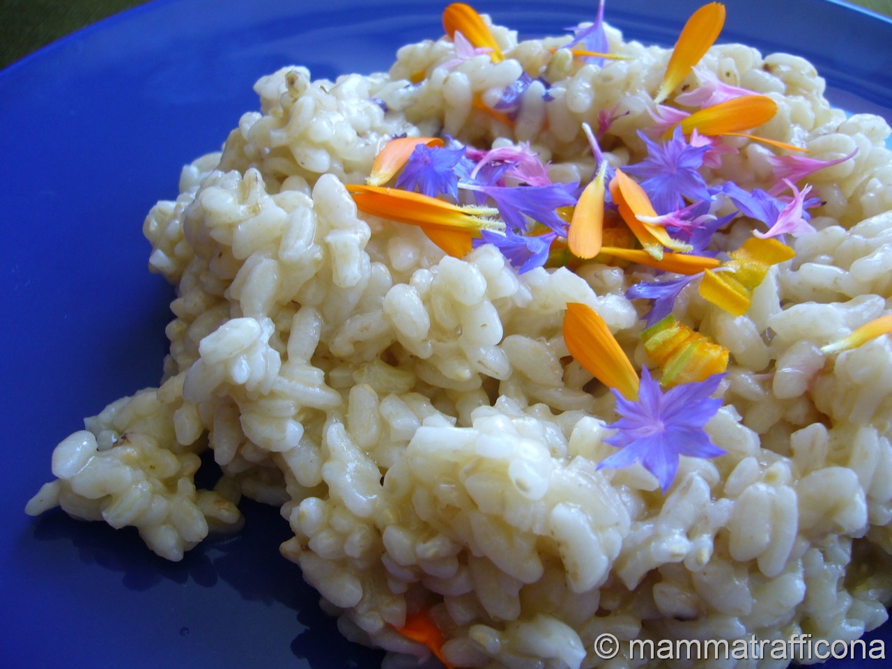 Mammatrafficona risotto con i petali for Cucinare risotto