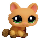 Littlest Pet Shop Multi Pack Kitten (#1669) Pet