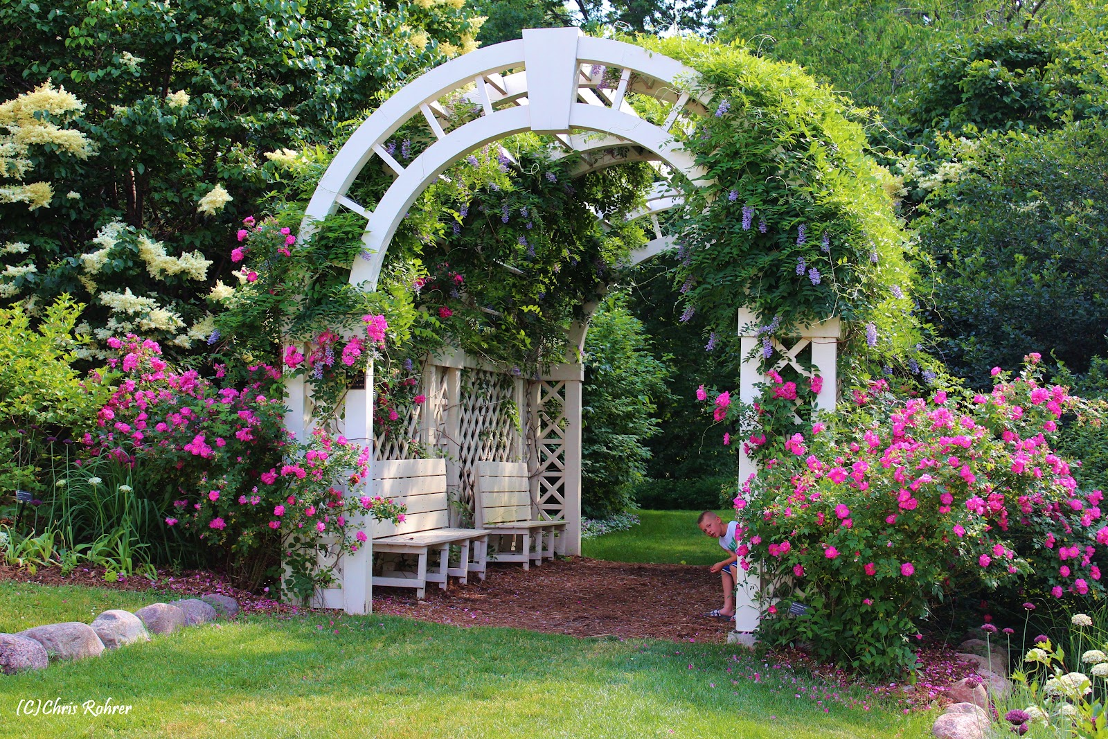 Las Aventuras The Green Bay Botanical Gardens