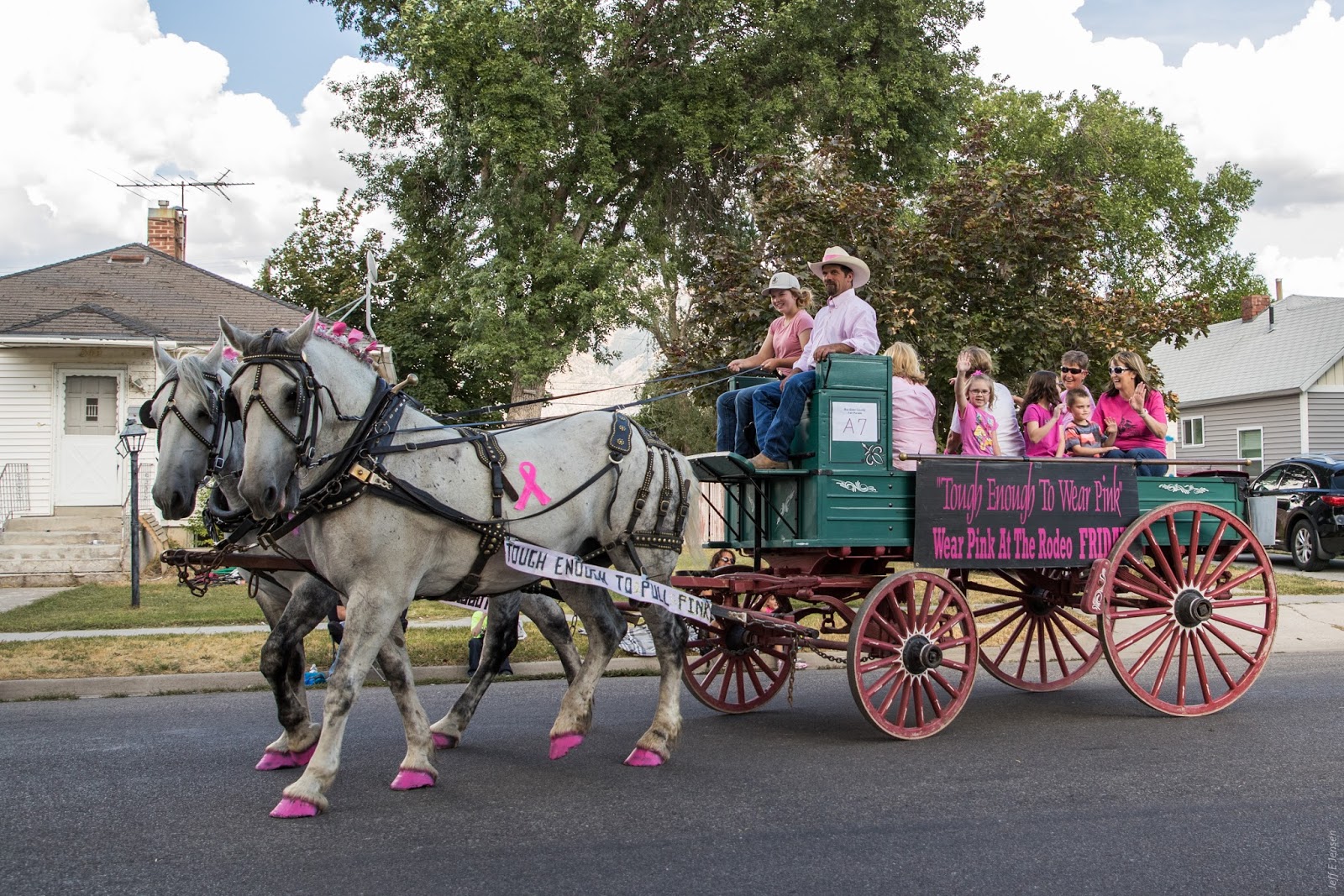 The World As I See It Box Elder County Fair Day 1