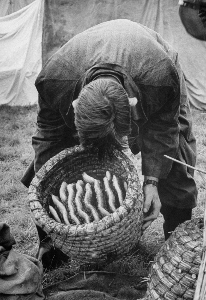 Beekeepers of the 1950s Vintage Photos From a Busy Bee