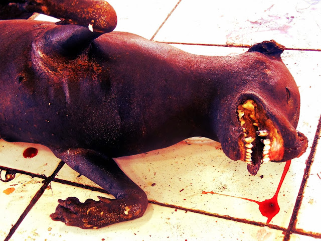 SONNENTANZ Tomohon (13.8. 16.8.13) "kalte Eier &amp; gerösteter Hund"