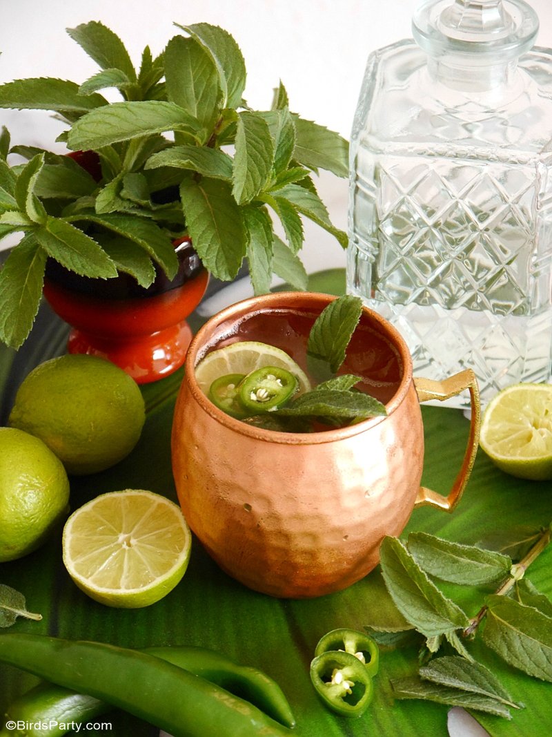 Mexican Mule Cocktail Recipe - a delicious twist on the classic Moscow Mule to spice things up for a Cinco de Mayo party or Mexican fiesta! by BirdsParty.com @birdsparty #cocktail #mexican #cincodemayo #mexicanmule #moscowmule #recipe