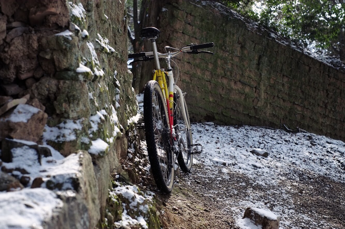 A Snowy Winter Day in Nara