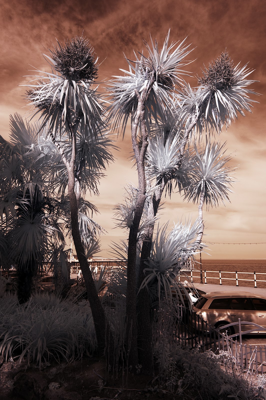 Larrie Tiernan Penybont ar Ogwr, Penarth and Castell Coch