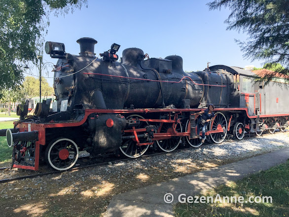 lokomotiflere çıkıp inmek serbest ama biraz güç istiyor, Çamlık tren müzesi Selçuk İzmir