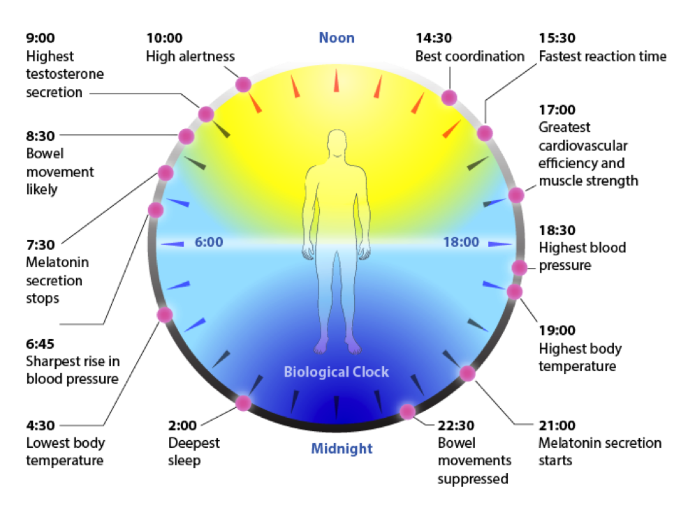 Traveling Small with a Nucleus December 2017