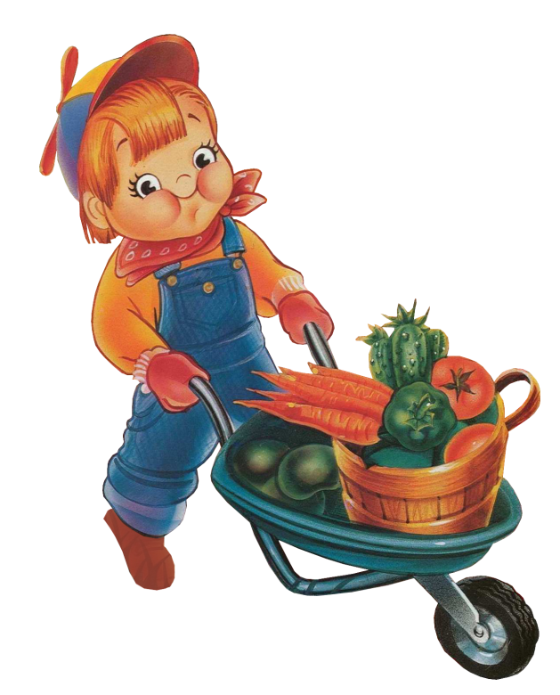 wheelbarrows and people