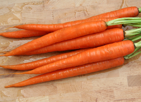 carrots, growing carrots, how to grow carrots, guide for growing carrots, growing carrots organically, how to start growing carrots, growing carrots in home garden