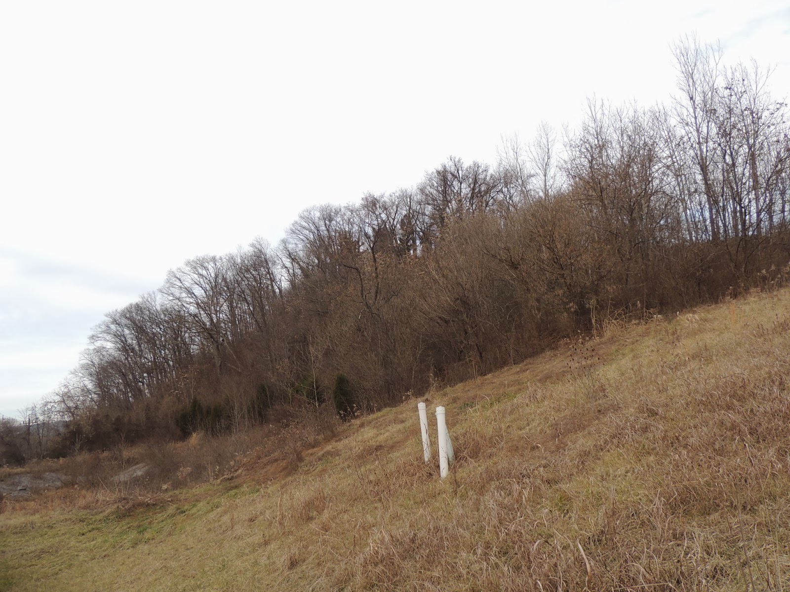 DouglassRiverview News and Current Events The New Eastman Ballfields