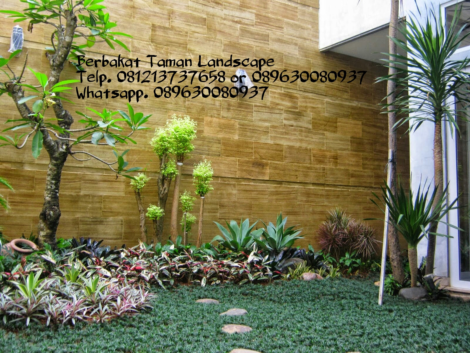 Tanaman Pengganti Rumput Dalam Ruangan Indoor - Tukang Taman Minimalis