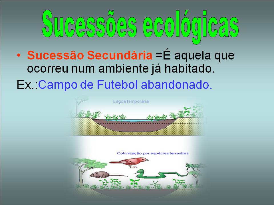 Viver à Biologia: Sucessões Ecológicas