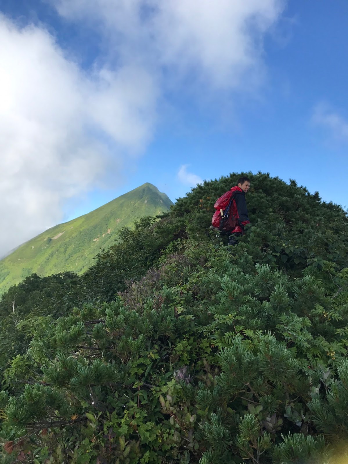 山のまこちゃん登山ブログ: 峰 コイカクシュサツナイ岳コース