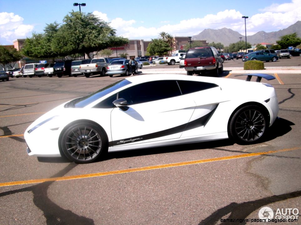 White Lamborghini Gallardo Superleggera