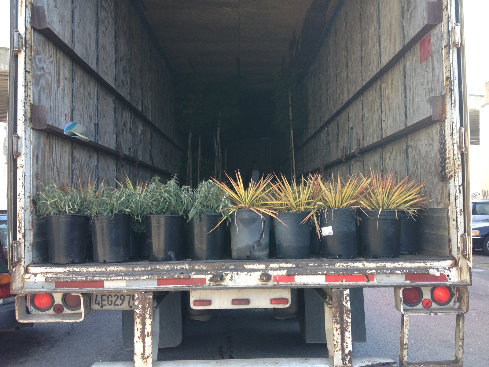 17th and Pennsylvania Our First Wholesale Plant Delivery!