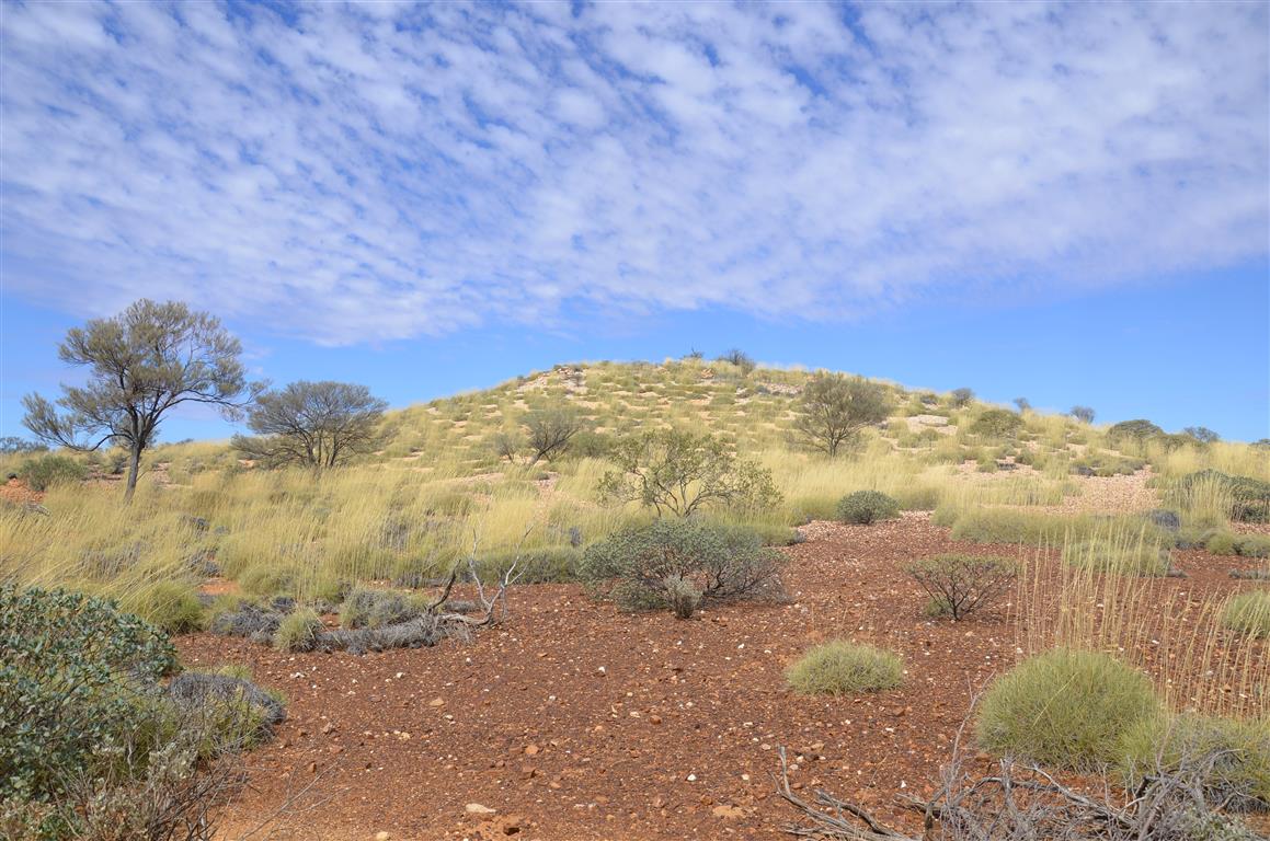 Australien 2013 Mt. AugustusTom Price