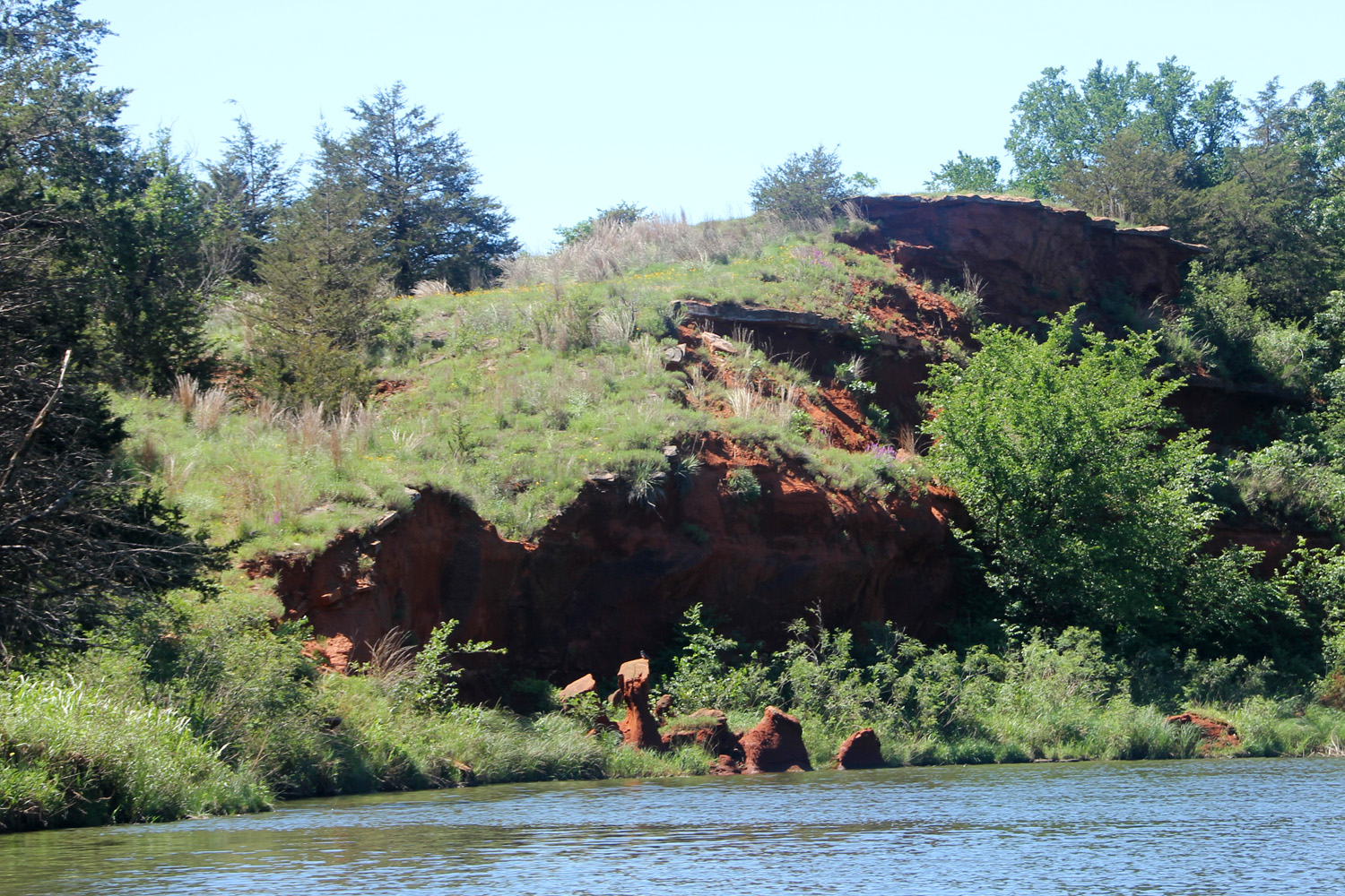 Log of Ibi Crowder Lake