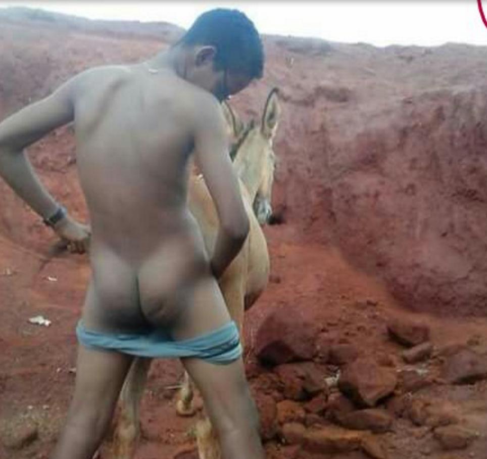 Gozando dentro da loirinha brasileira Homem fazendo sexo com a égua