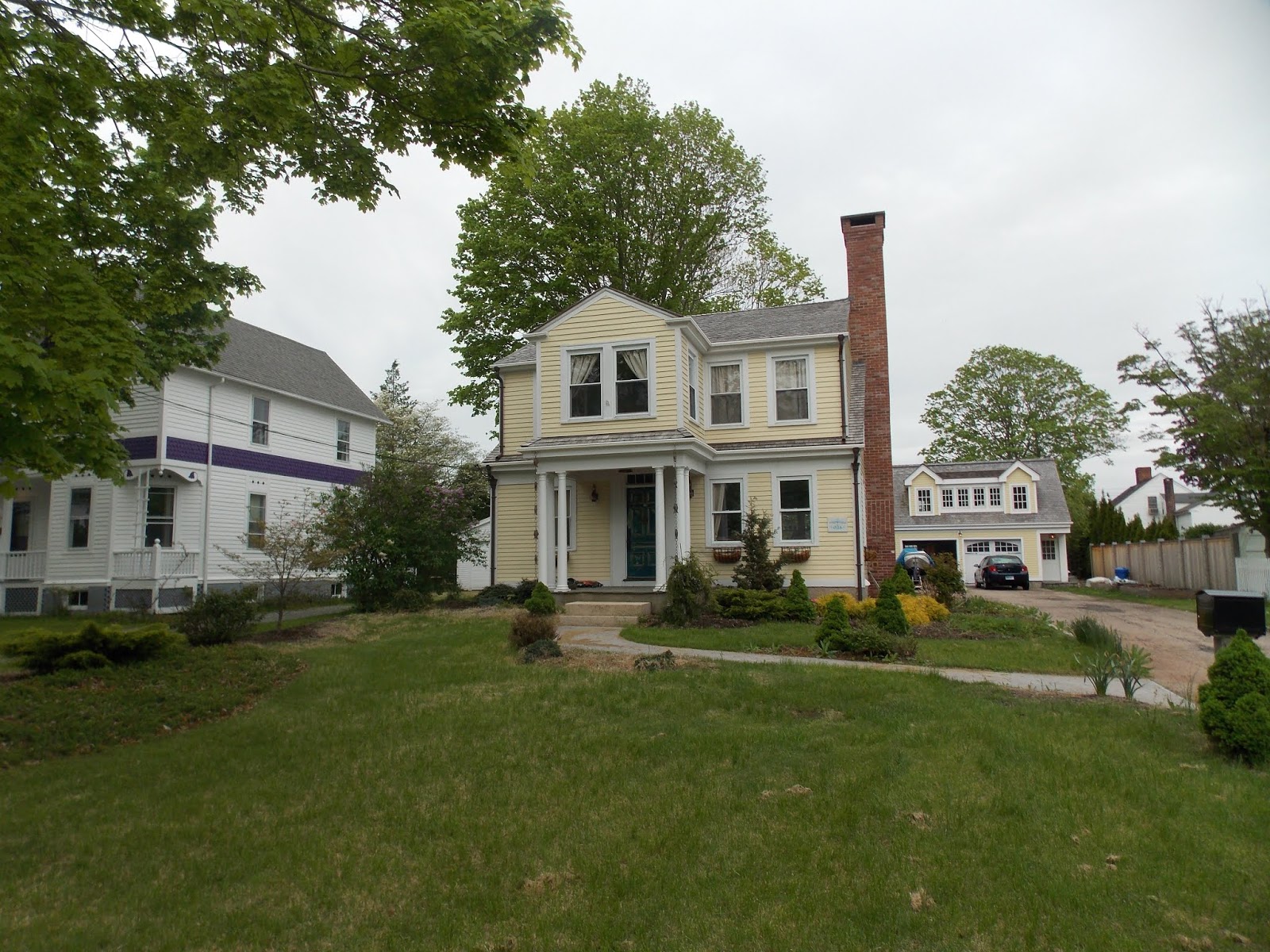 CHINAR SHADE THE BEAUTIFUL MYSTIC SEAPORT TOWN (Connecticut State)