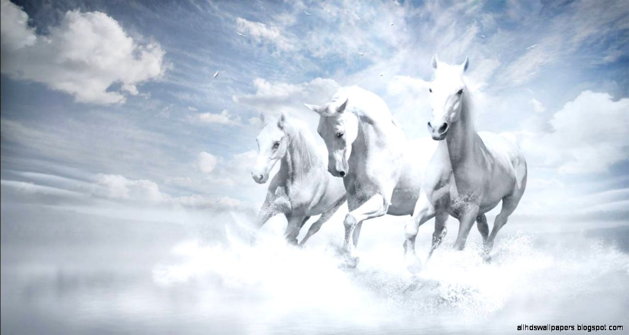 White Horses Wallpaper For Desktop Free Download Of Horse Wallpaper