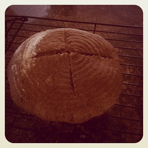 The Lovin' Oven Bakery The Rustic Olive Thyme Bread