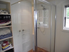 The Shower