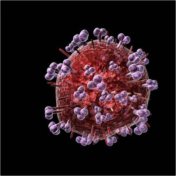 Human immunodeficiency virus. Вирус иммунодефицита человека (Human Immunodeficiency virus). Лентивирусы ВИЧ. Вирус СПИДА вирус иммунодефицита человека ВИЧ визиваюший СПИДСПИД. Вирус иммунодефицита под микроскопом.