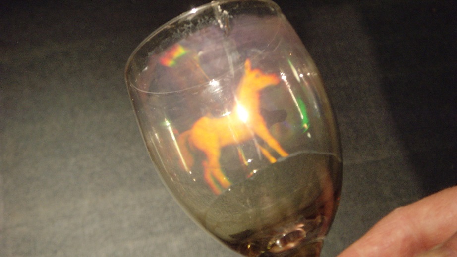DIY Science DIY Hologram Recording Plate and Holograms on wine glasses