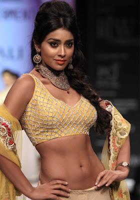 Shriya Saran Latest Top 10 Hot Wallpapers | Bikini Images